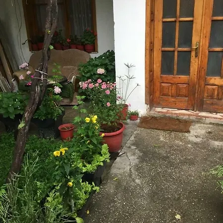 Kwatera prywatna Vila Basho Pogradec